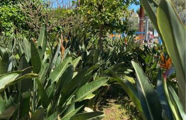 Villa Savoia Mondello - Photo 42