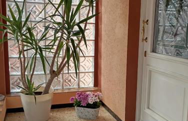 Fewo Brünahl - Foto 8