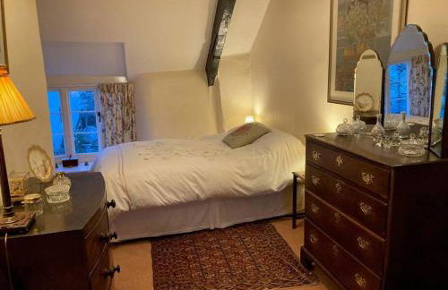 Little Reeds - Foto 6