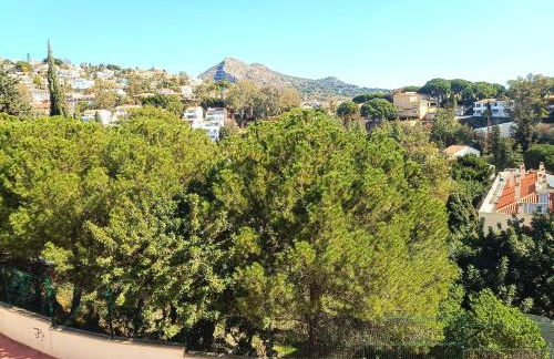 Flamencos del cerrado - Photo 34