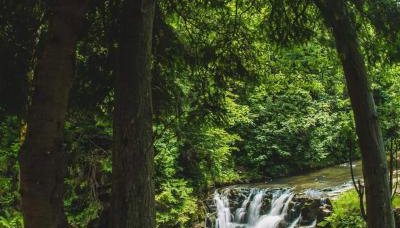 Szafran Home Spa - Foto 3, Garden