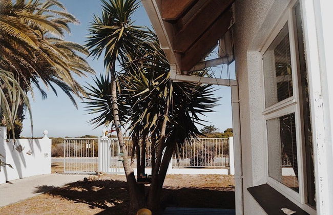 9 on Dolfyn - Foto 31