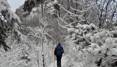 OG Apartman - Foto 4