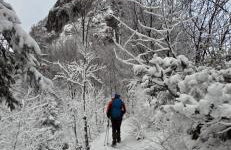 OG Apartman - Foto 4