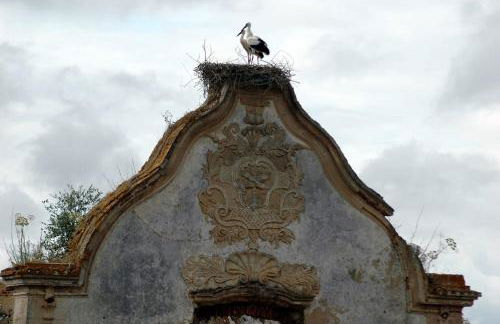 Praia de Messejana - Foto 75