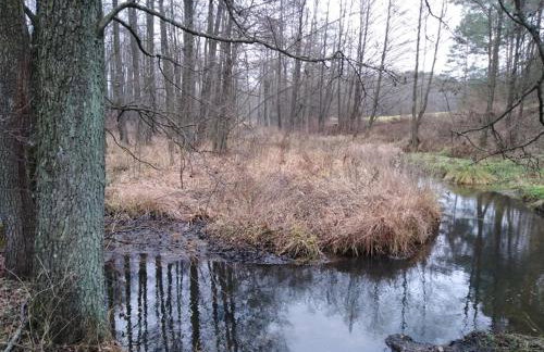 Drewniany Domek w Zakątku Andrzeje Śniczany 18 - Photo 28