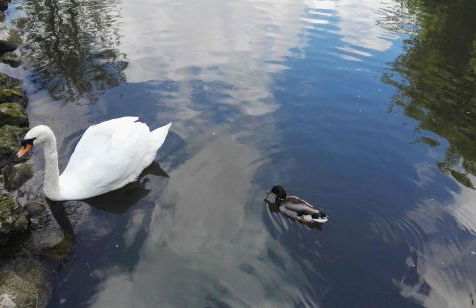 Sicily Country House & Beach - Foto 52