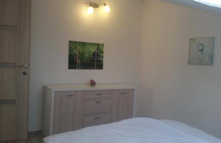 Olive Apartments - Photo 22