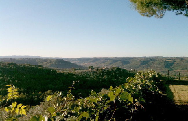 Villa il Fedino - Foto 79