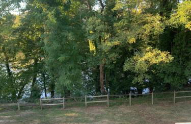 Superbe duplex les belles Rives Argentat bords Dordogne avec wifi - Foto 45