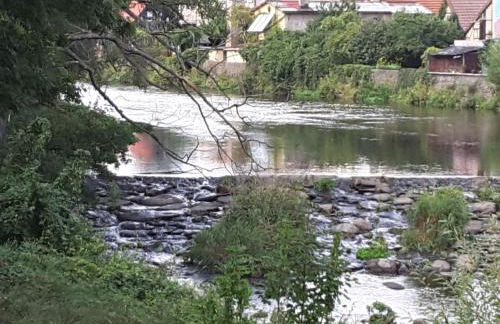 Palais Picard Westflügel - Foto 70