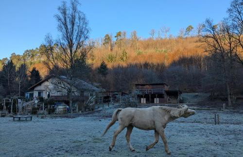 Gîte mon chez moi - Foto 9