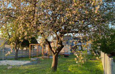 Apartament Noclegi Tokarnia Duża 126 - Foto 14