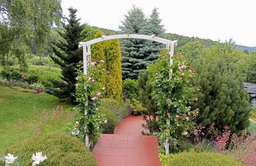 Przytulne Studio Borówkowy Zagajnik - Foto 42