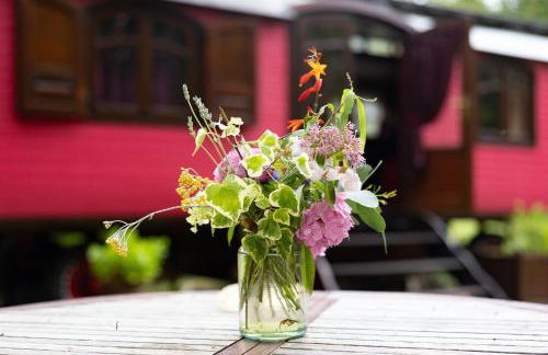 La roulotte d'alany - Foto 22