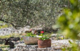 Rogoznicka Oaza 2 - Foto 64