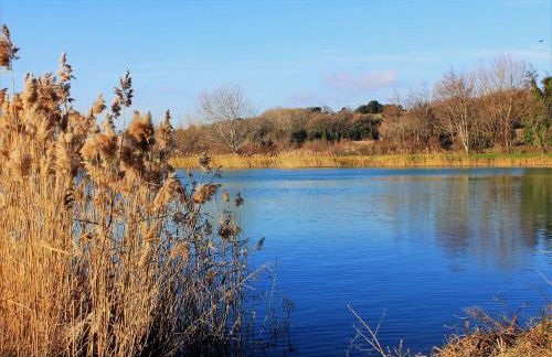 LES JARRES BLEUES - Foto 6
