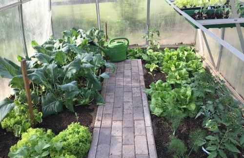 Ferienwohnung Schötz - Foto 43