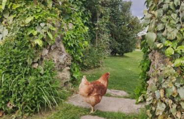 CASA RURAL COSTALAGO - Photo 20