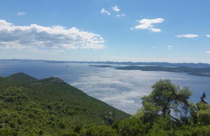 Apartment Sajković - Foto 41