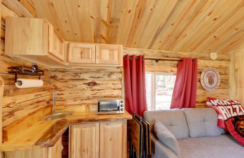 McGregor Lake Access Cabin in Wooded Wilderness - Foto 9