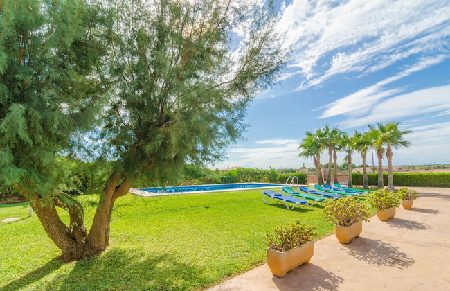 Torre Marina Alga Marina - Foto 4