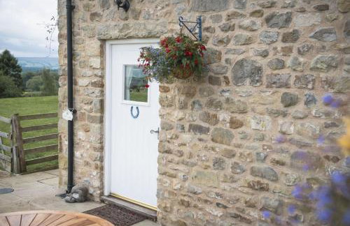 Winsbury Cottage - Photo 5