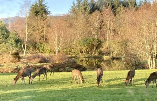 Heronlea Cottage - Photo 8