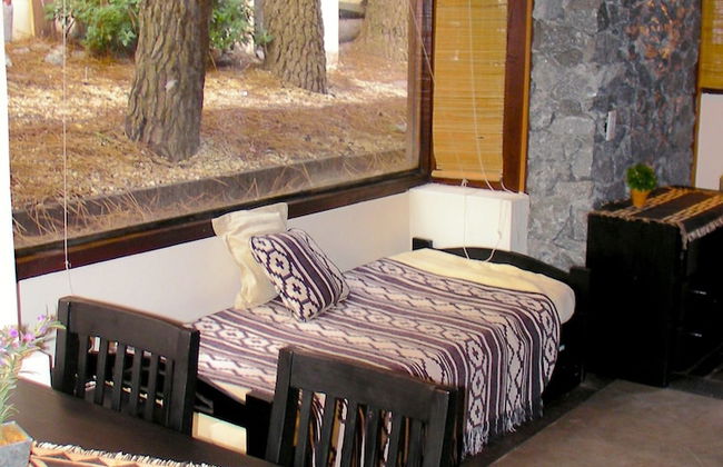 Altos Medanos - Cabañas y Club de Bosque - Foto 8