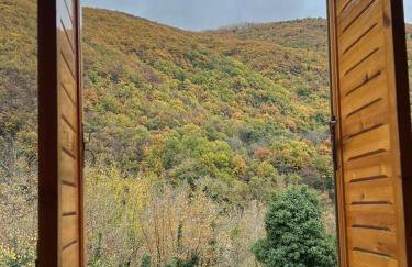 Forest view Aggeliki - Foto 8