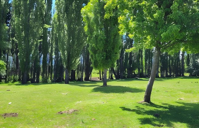 Esaki Farm Near El Bolson - Photo 42