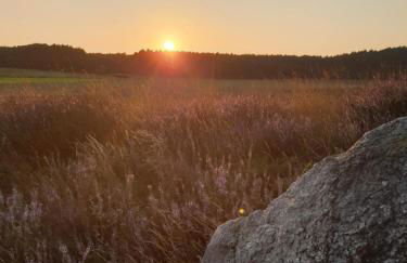 Hof Lindemann - Foto 10