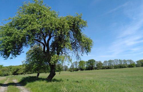 Ferienwohnung zur Pferdekoppel - Foto 5