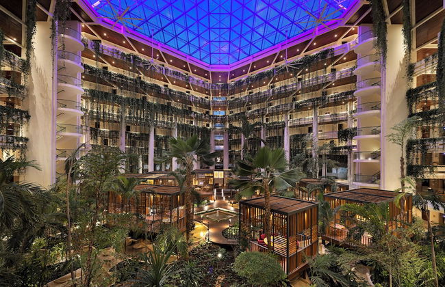 Paradisus Cancún – All Inclusive - Photo 40