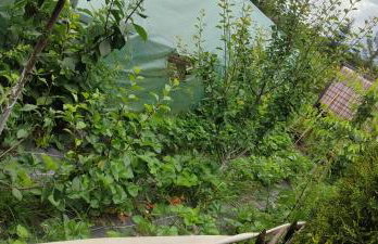 Agroturystyka Zielony Domek - Apartament na wyłączność, slow life, staw, oswojone zwierzęta gospodarskie, posiłki z własnych eko produktów - Foto 24