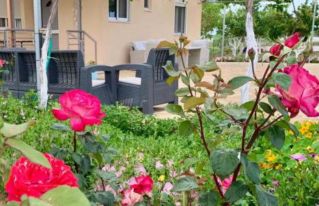 Vasiliki's Apartments - Foto 7