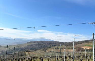 Schwalmala Logement calme au coeur du vignoble - Foto 34