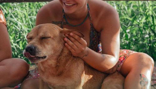 Pousada Magia da Guarda - Photo 4