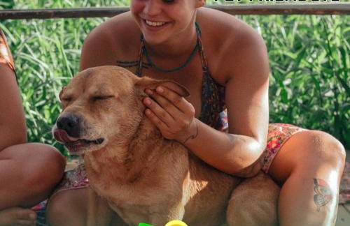 Pousada Magia da Guarda - Photo 4