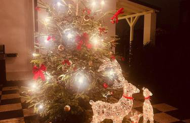 Stilvolle Wohnung im Kurgebiet Bad Kissingen - Photo 8