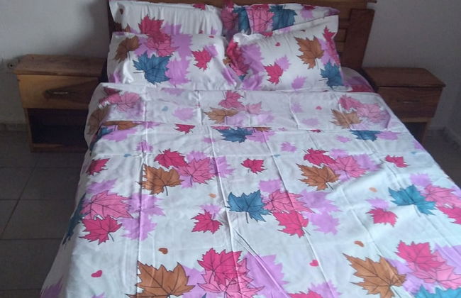 The Furnished Residences of Fasso Kanu -villa - Photo 5