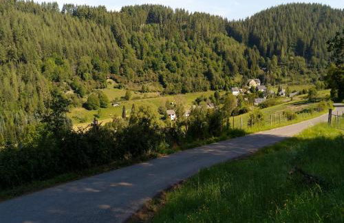 Tolle Ferienwohnung im Hunsrück in Merschbach - Foto 29