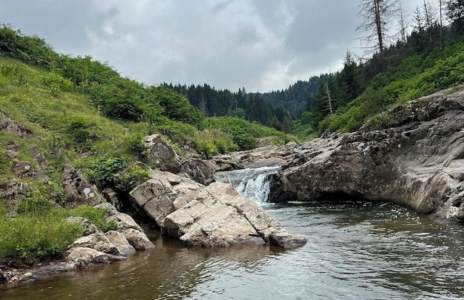 Ny Çambaşı - Foto 75