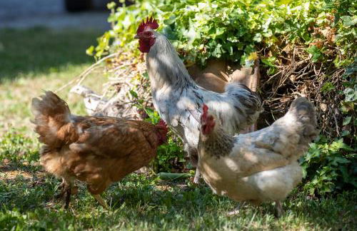 Cottoni Natural Space - Foto 25