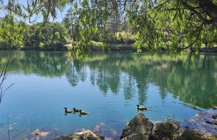 Pine Mountain Club Family Vacation House - Foto 66