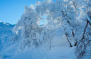 Studio Piccola Renna - Foto 54