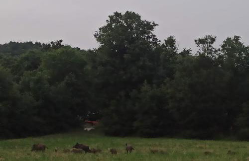 Casa Santina in borgo medievale - Foto 62