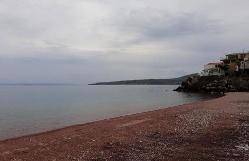 Armonia Houses - Photo 40