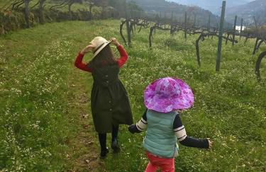 Family Secrets Douro - Foto 18