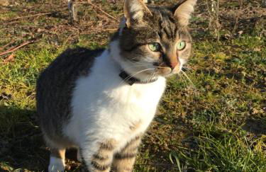 Appartamento nelle Langhe - Foto 15